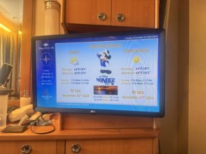 ディズニークルーズ　TV