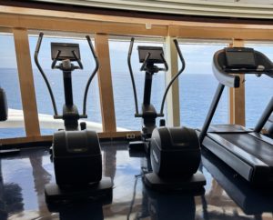 ディズニークルーズ　ジム